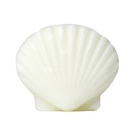 pacific's-shell-soap.jpg